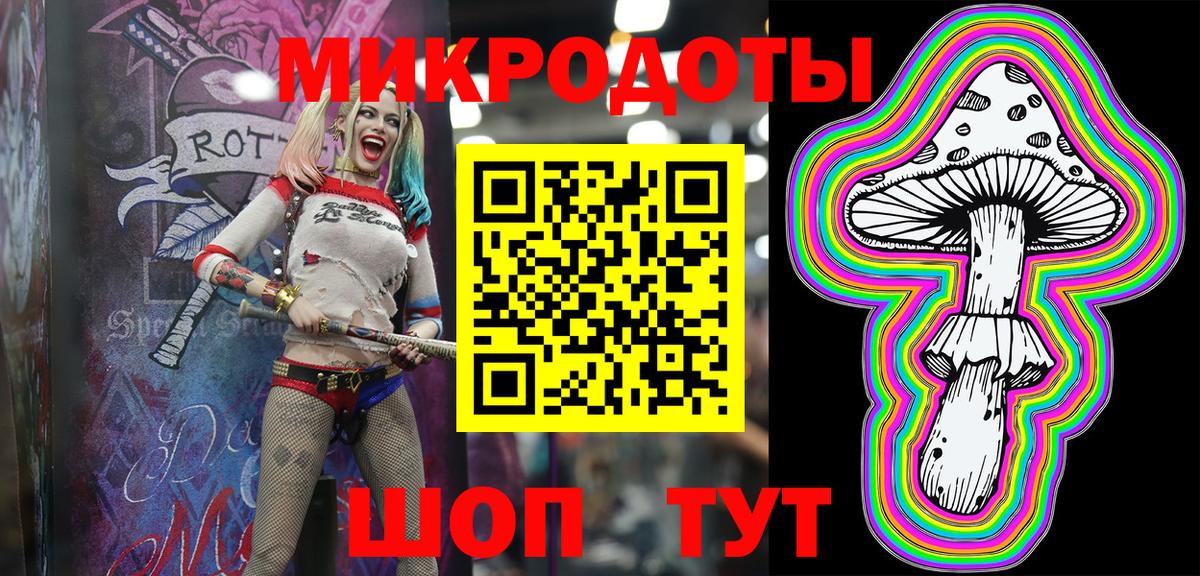 Галлюциногенные грибы Psilocybe Березники