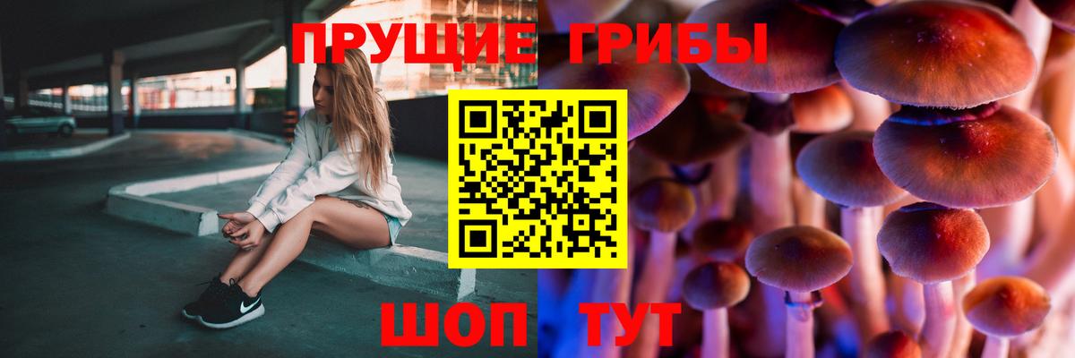 Березники  Галлюциногенные грибы Cubensis  Вход с VPN 
