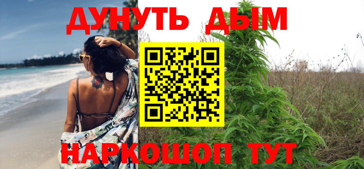 Конопля сатива Березники
